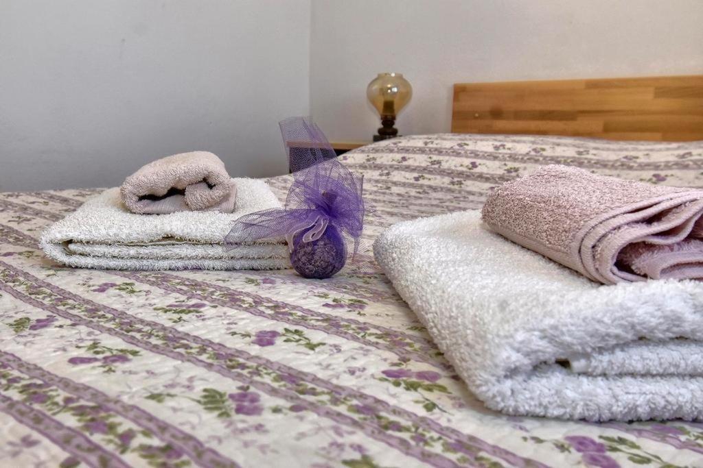 Apartment Zana