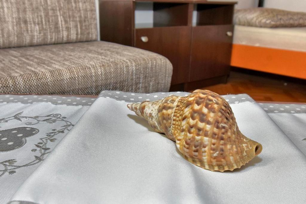 Apartment Zana