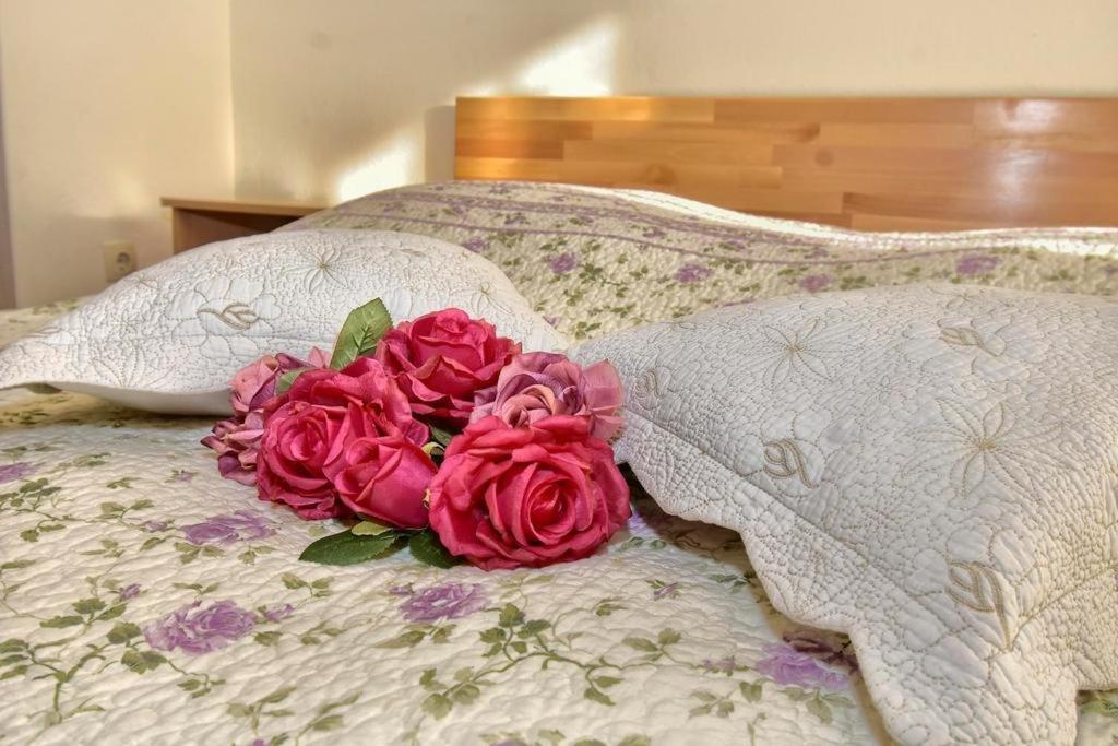 Apartment Zana *