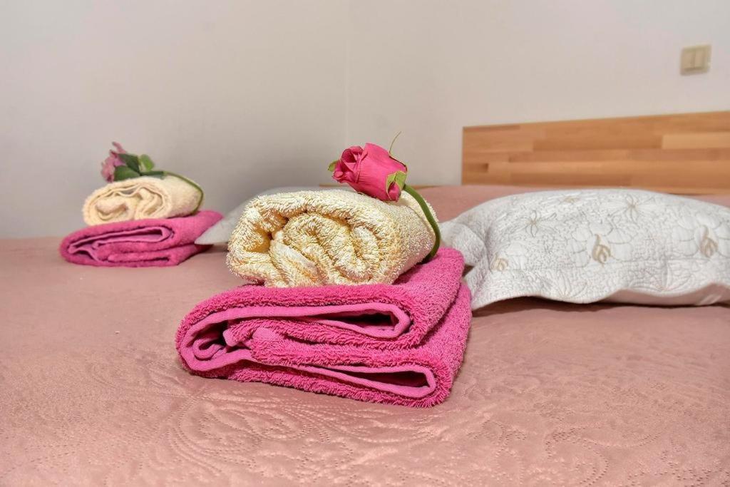Zana Apartment